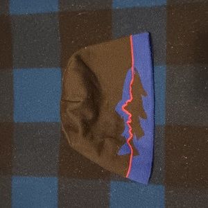 Patagonia Fitz Roy trout beanie